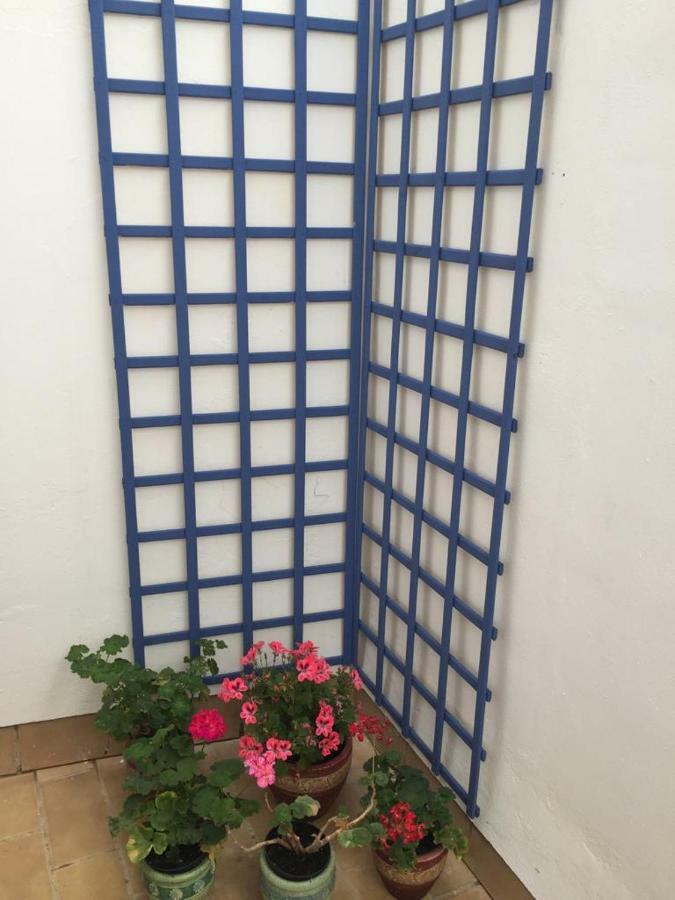 Apartamento Balneario Playa Caleta Cadiz Dış mekan fotoğraf